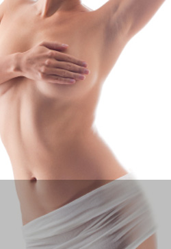Body